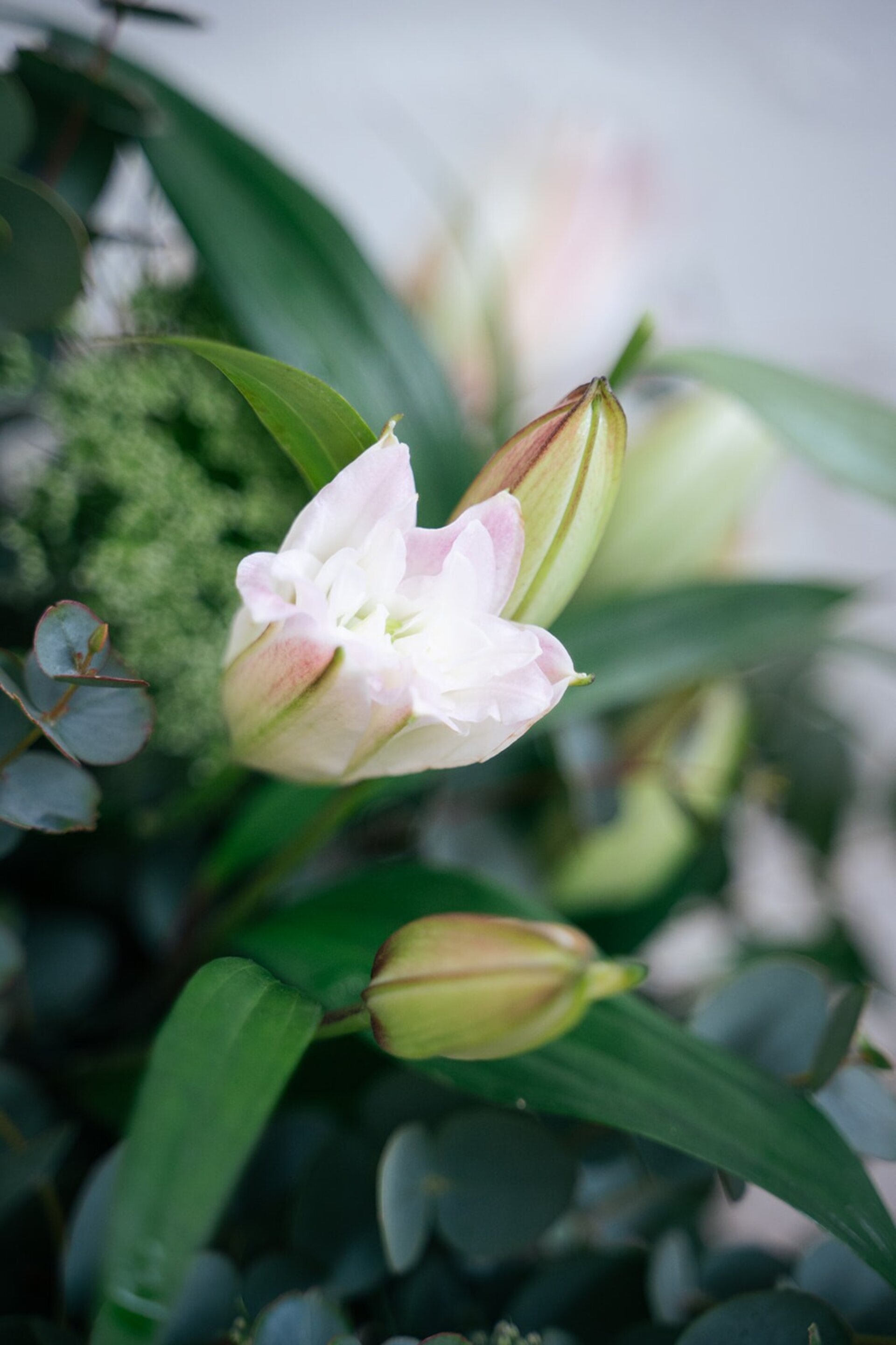 Ramo-de-flores-Carmen - 2