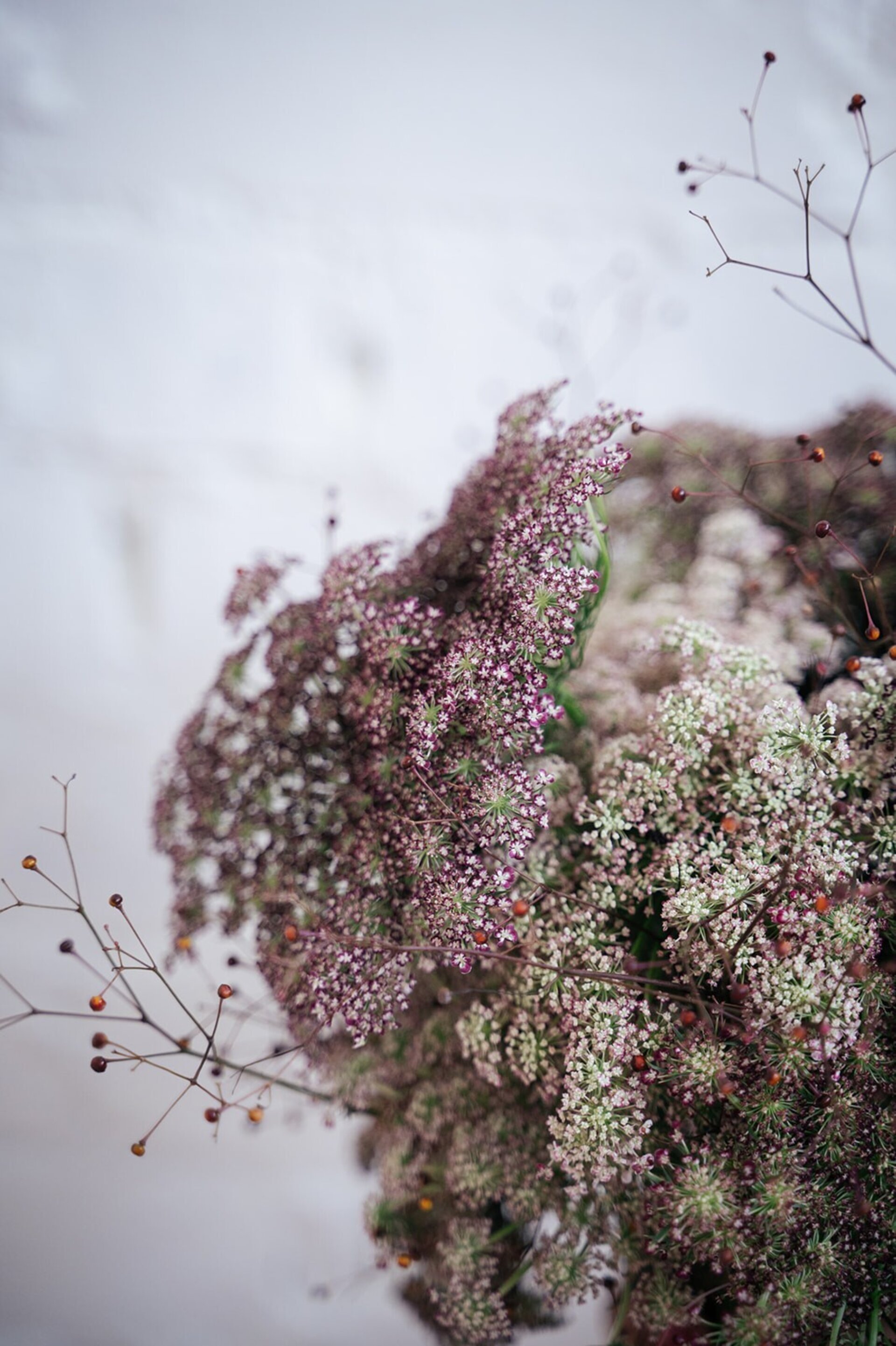 Ramo-de-flores-Calista - 4